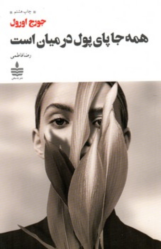 تصویر  همه جا پای پول در میان است (رقعی-شمیز)